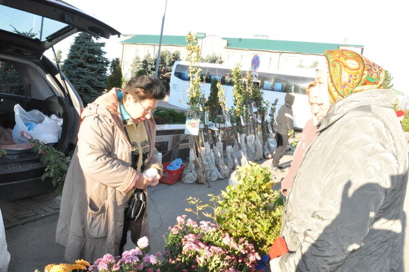 Бу минутларда Сабаның мәдәният  йорты каршындагы  мәйданында авыл хуҗалыгы продуктлары ярминкәсе бара.