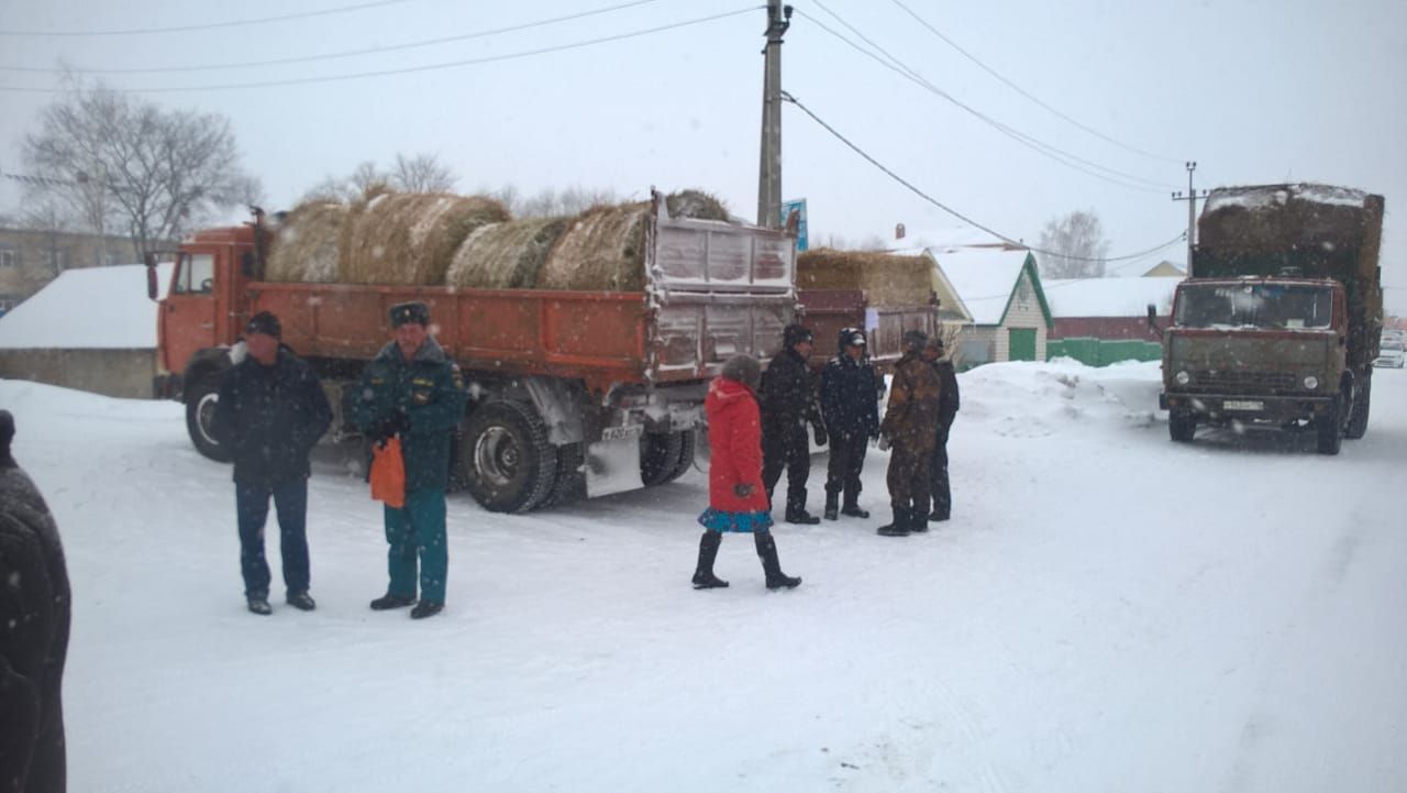 Саба авыл хуҗалыгы ярминкәсеннән ФОТОРЕПОРТАЖ