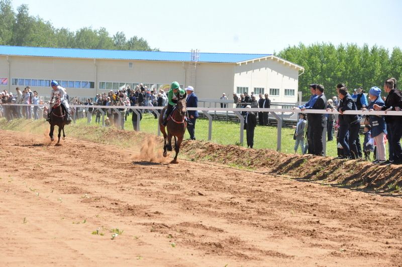 Саба Сабантуенда кемнәр батыр  калды һәм аукционда кер юу машинасын кем отты – фотоларга карап белегез