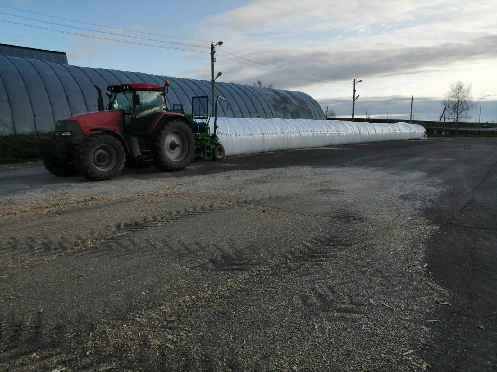 Саба районы хуҗалыкларында кукурузны бөртеккә сугып алуны башлап җибәрделәр