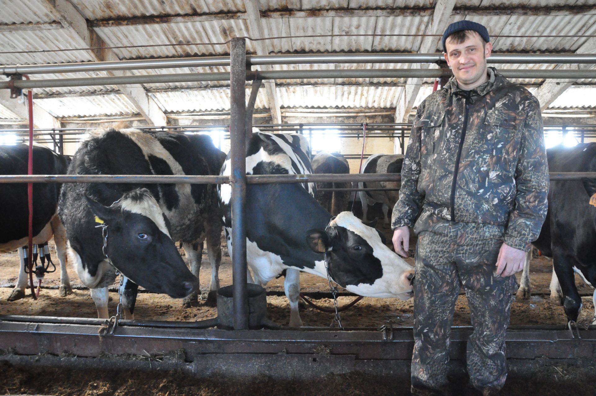 МАЛЛАР ТЕЛЕН БЕЛҮЧЕ ИЛДАР