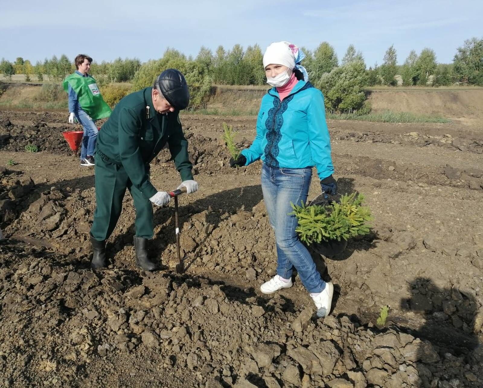 Татарстанда бер көндә 1,2 млн агач утырттылар