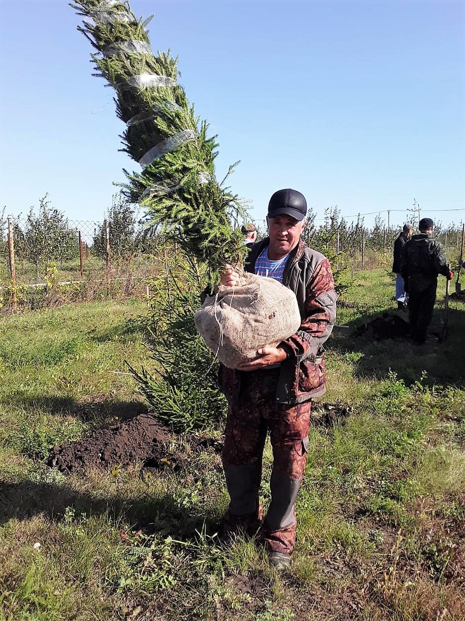 Татарстанда бер көндә 1,2 млн агач утырттылар