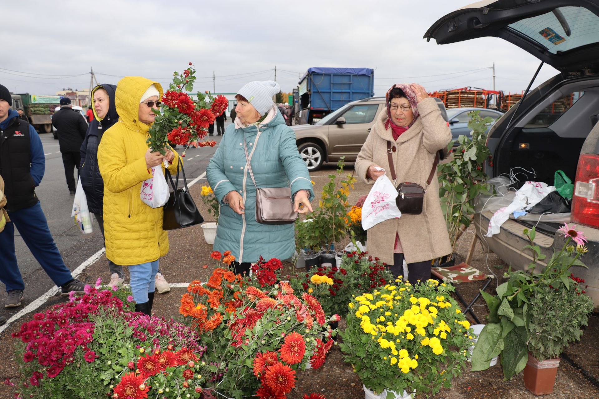 Авыл хуҗалыгы продукциясе ярминкәсе гөрләде [фоторепортаж]