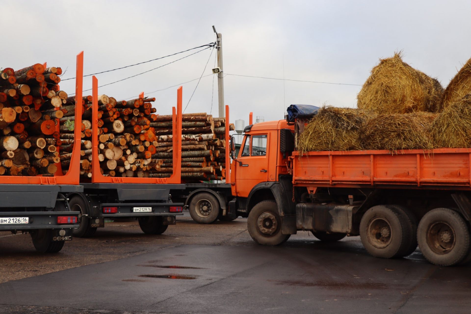 Авыл хуҗалыгы продукциясе ярминкәсе гөрләде [фоторепортаж]