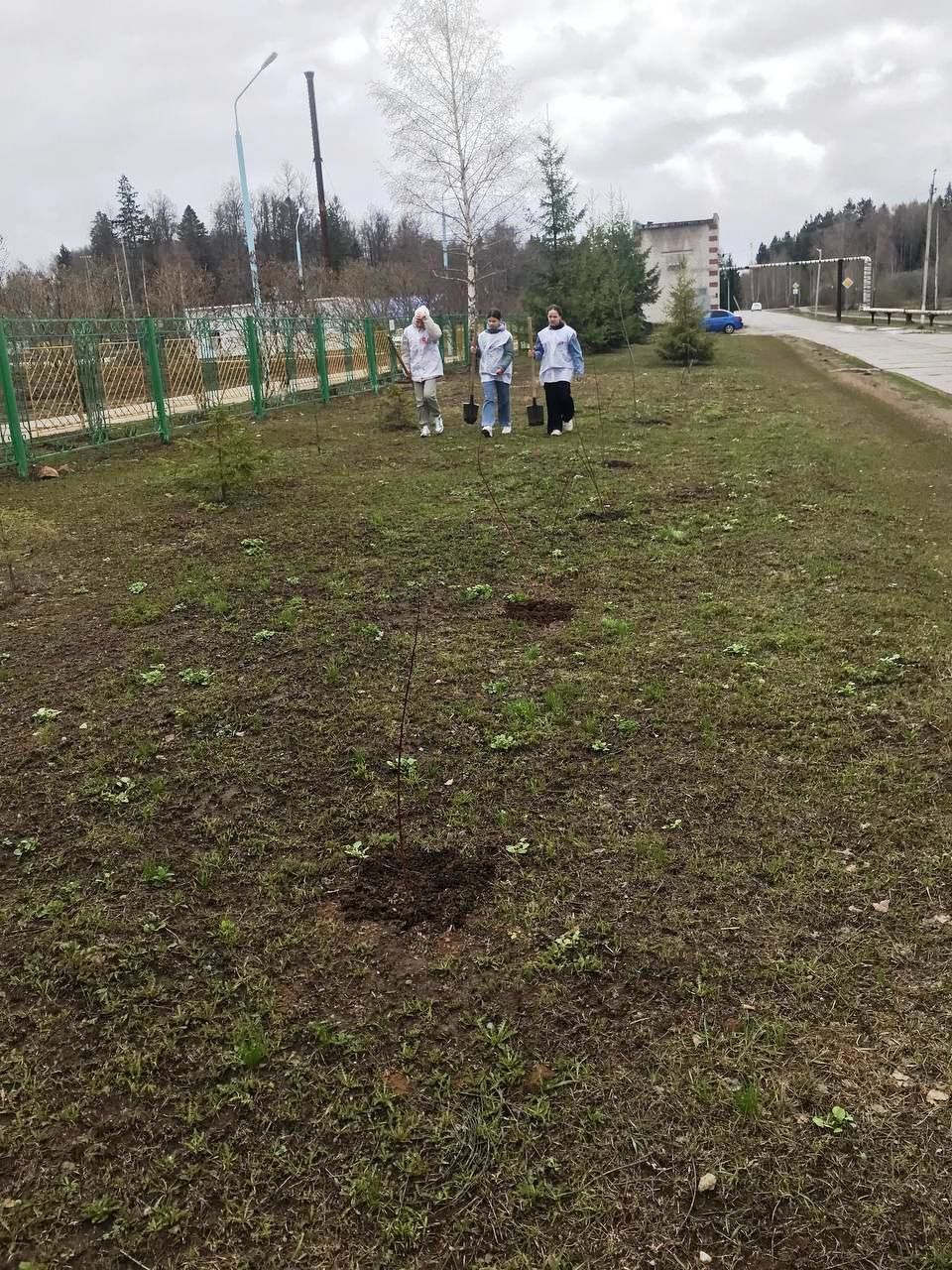 Саба районының Яшь гвардиячеләре агач утырту һәм өмә оештырдылар