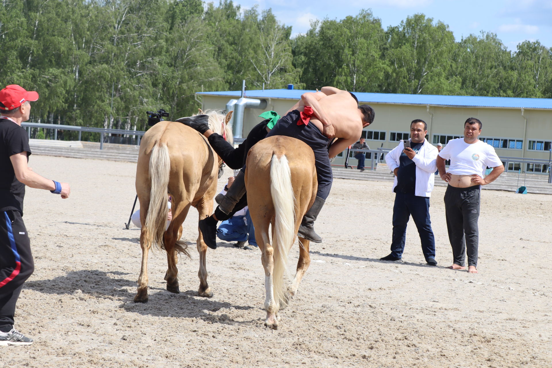 Сабада атларга утырып көрәшү (Аударыш) буенча  дөнья  чемпионаты үткәрелде