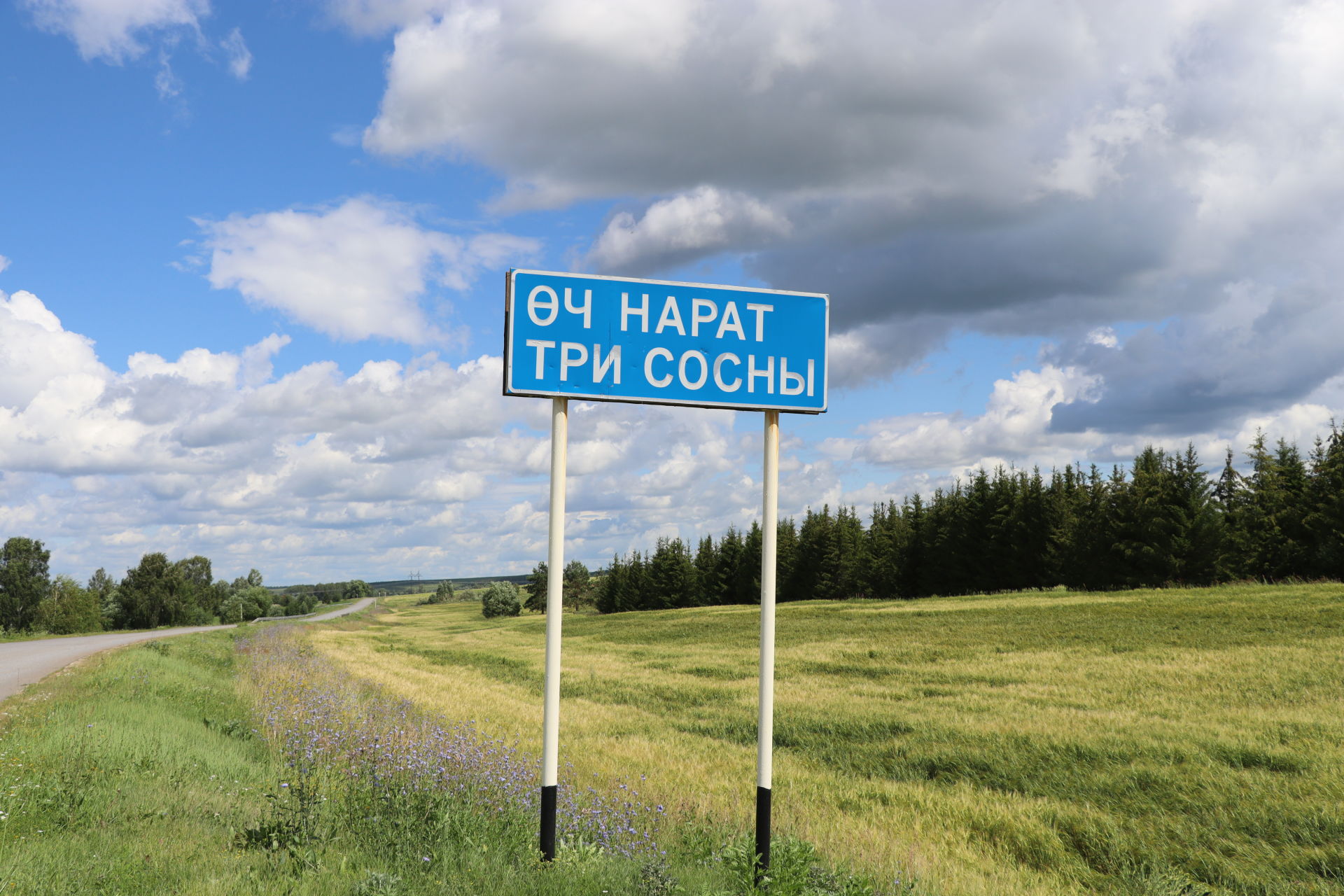 "Авылым капкасы" сәхифәсе: "Өч наратлы авыл"