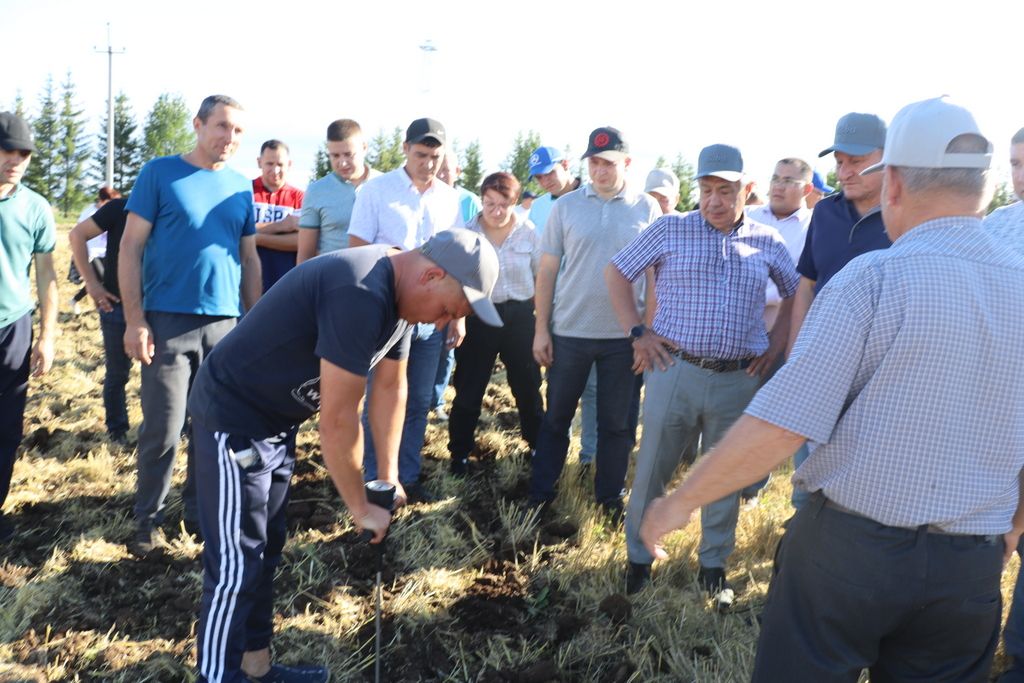 Шахматтагыча: “Мөхәммәтшин” хуҗалыгы башлый һәм ота