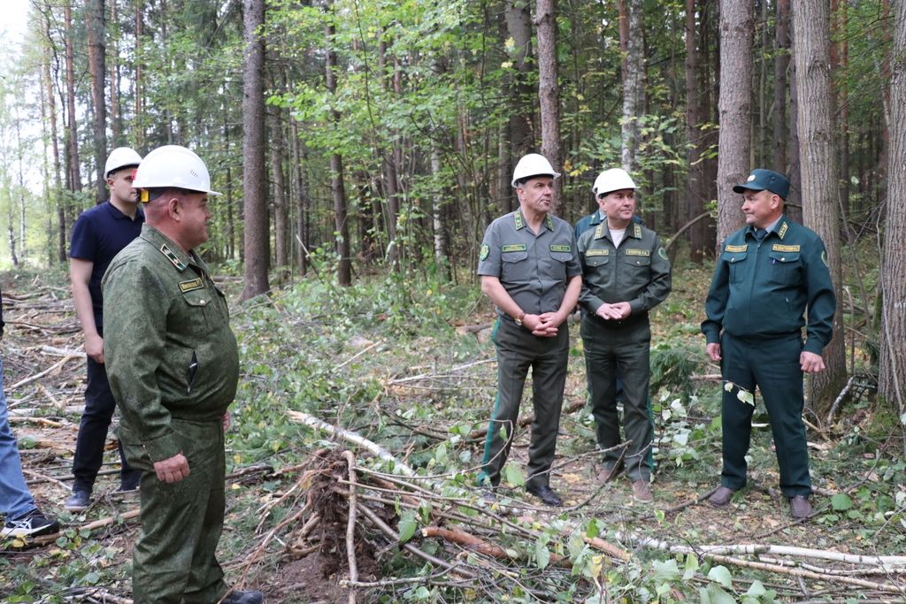 Лесхозга Беларусь Республикасы урманчылары  килде