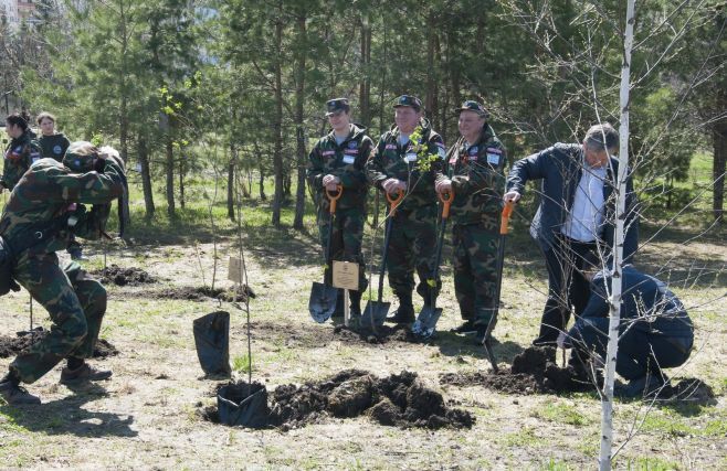 Казанлылар Җиңү паркында 100 алмагач утыртты