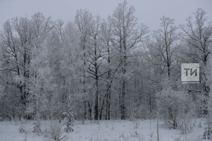 Татарстан синоптиклары атна дәвамында көчле салкыннар булуы турында кисәтә