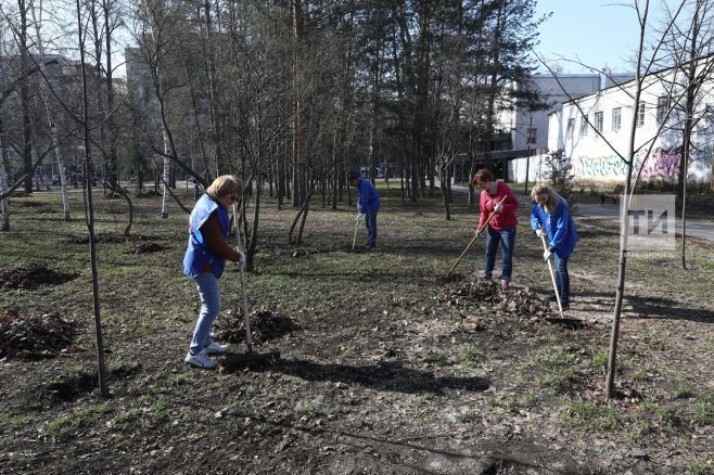 Казанда шимбә өмәсе 28 апрельдә уздырыла