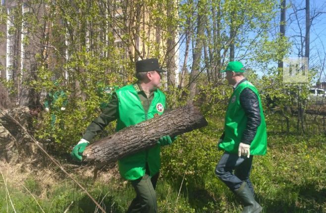 Татарстан буенча хакимият вәкилләре катнашында урман өмәләре үткәрелә