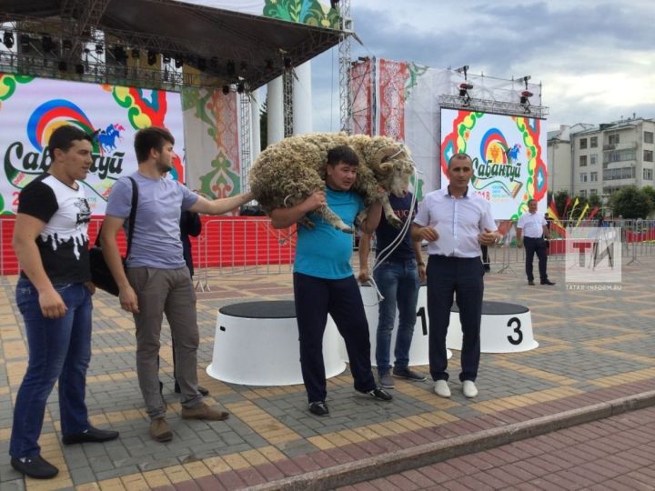 Федераль Сабан туенда батыр булып Муса Галләмов калды, ә машина башка көрәшчегә тапшырылды