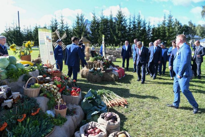 Рөстәм Миңнеханов Кукмара районында яңа сөтчелек фермасы белән танышты