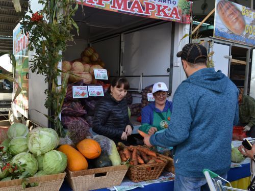 “Файда эзләсәң, монда килмисең”