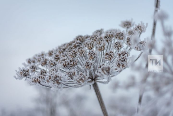 Синоптиклар Россиянең Европа өлешенә кыш килүе турында сөйләде