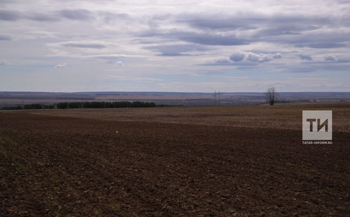 Агрохимия үзәге ашлама күләмен ачыклый торган программаны кулланылышка керткән