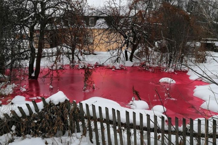 Казанда барлыкка килгән кызыл төстәге күлләвекне экологлар тикшерә