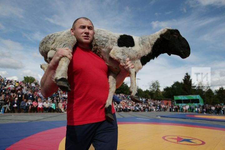 Раил Нургалиев Федераль Сабан туе батыры дип табылды