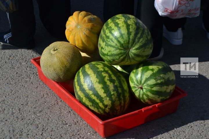 Табиблар балаларга карбыз һәм кавын ашату кагыйдәләрен искәртте