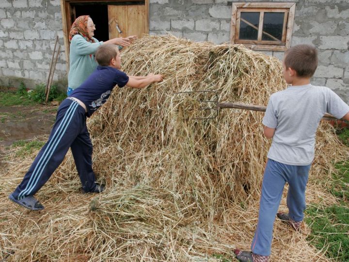 Укытучыга печән бирегез! Абруе булмаган педагогтан начар укучы чыга (фикер)