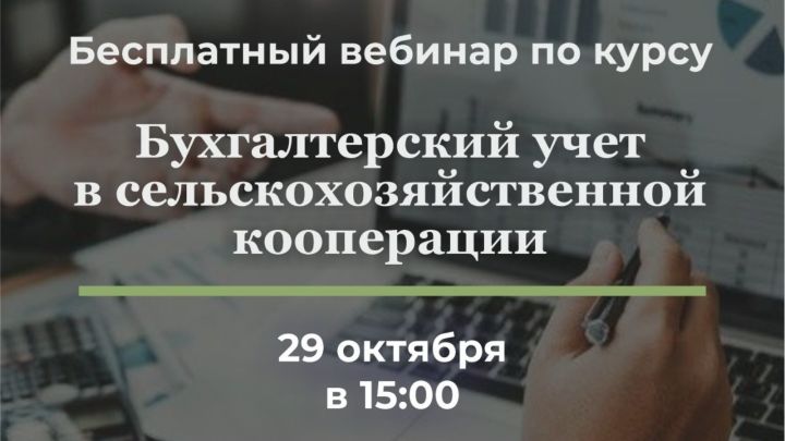 Онлайн укы: бүген бухгалтерлык исәбе үзенчәлекләрен үзләштерәбез