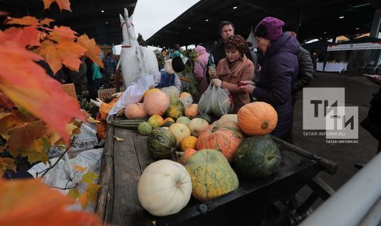 Әгъзам Гобәйдуллин: Фермерлар продукциясен сатуга чыгаруда системалы эш һаман җитми