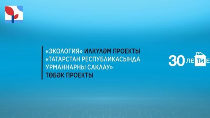 Татарстанда урман янгыннарын сүндерә торган ике яңа станция пәйда булачак