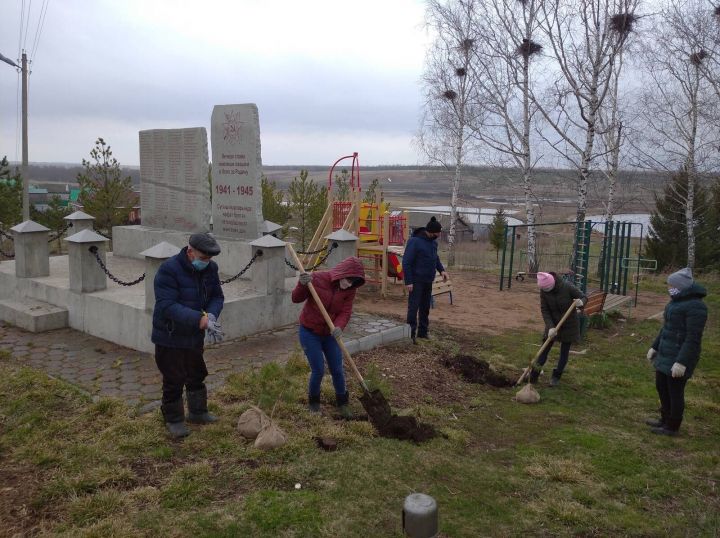 Экологик ике айлык кысаларында агач утырту