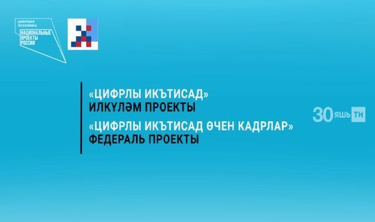 Быел 3 мең бала «Цифрлы икътисад» проекты буенча мәгълүмати технологияләрне өйрәнәчәк