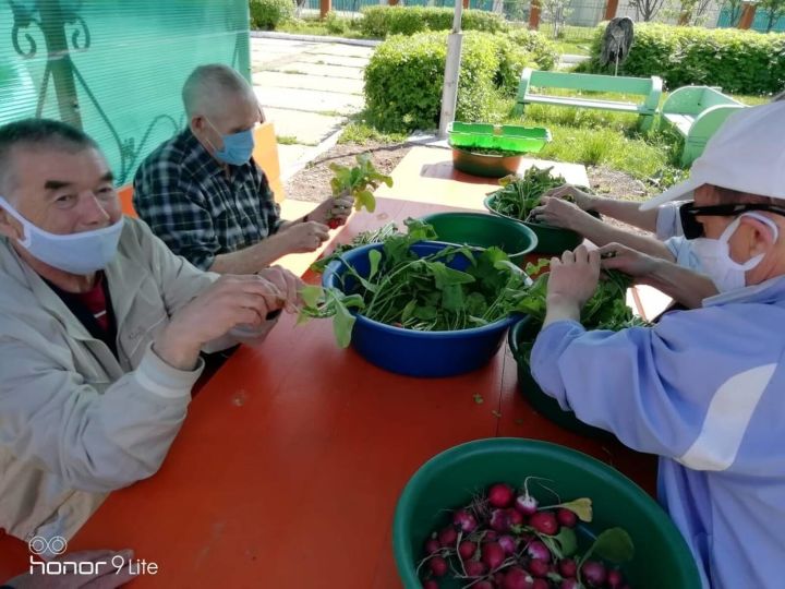 Лесхоз интернат-йортында хезмәт терапиясе