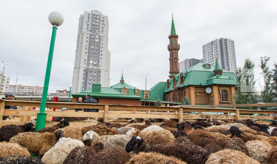 Татарстанда корбан чалу урыннары билгеләнде