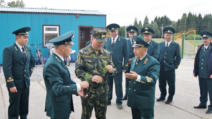 Министр Равил Кузюров Саба урманчылыгы һәм Саба өйрәнү-сынау урман хуҗалыгы эшчәнлеге белән танышты