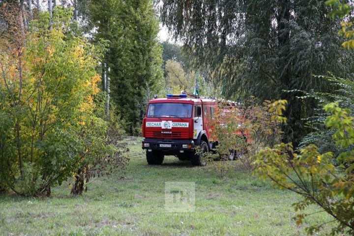 Урманчылар патрульләрне көчәйтә: аномаль эсселек аркасында Казан янында ял итү урыннарын ябарга мөмкиннәр