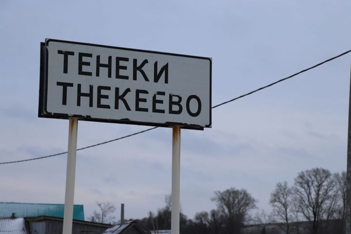 Оста  көмешчеләре, алтын йөрәкле халкы белән данлы Тенеки