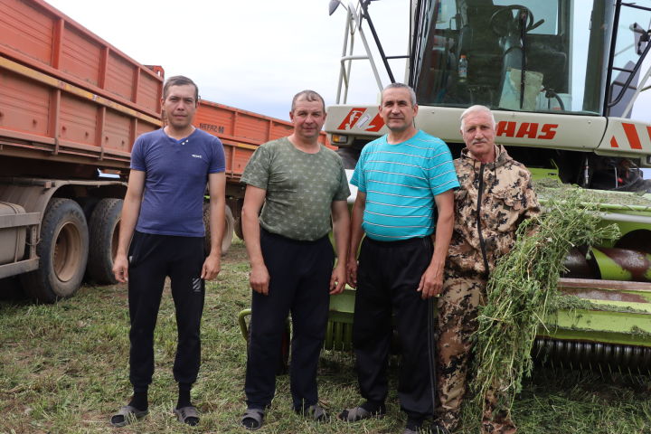 “Мичән”бүлекчәсендә   төп көчне терлек азыгы әзерләүгә туплаганнар