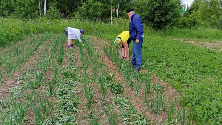 Лесхоз картлар һәм инвалидлар йортында хезмәт терапиясе даими үткәрелеп тора