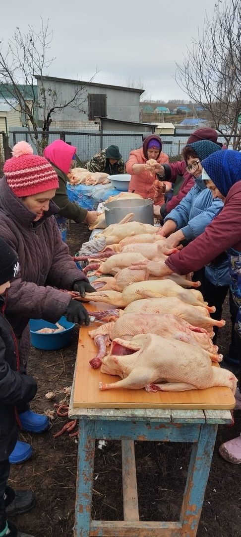 «Эх, казлары да казлары! »