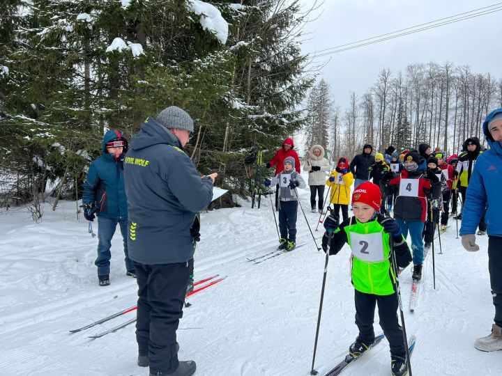 Лесхоз бистәсендә мәктәп укучылары арасында чаңгы ярышы узды [+фото]