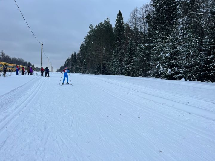 Лесхоз бистәсендә мәктәп укучылары арасында чаңгы ярышы узды [+фото]