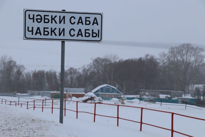 «Еллар үткән саен сагындыра, балачакка  килә кайтасы...»