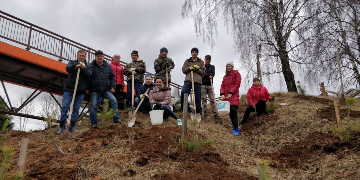 Сабада чисталык икеайлыгы барышында 1000нән артык  төп агач-куаклар утыртылачак