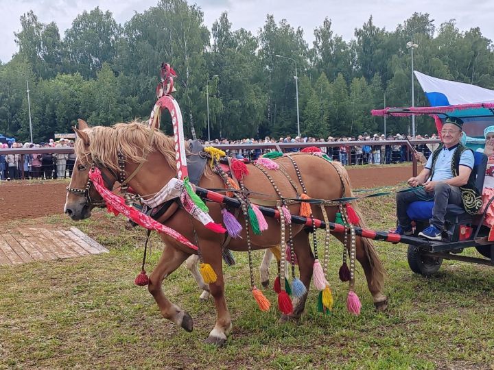 Сабантуйдагы ат чабышында Бөркет, Тамчы һәм Каталея кушаматлы атлар беренче килде