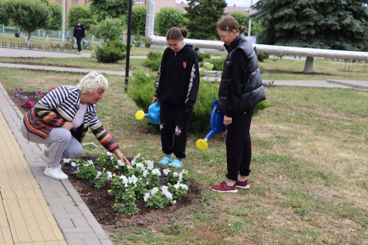 Саба районында каникул чорында  553 укучы эш белән тәэмин ителәчәк