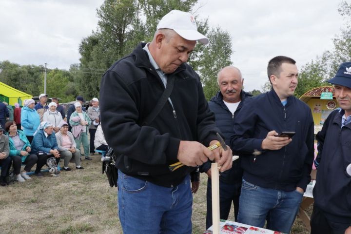 Шекшедә умартачылар  бәйрәме– бал кортлары туе гөжләде