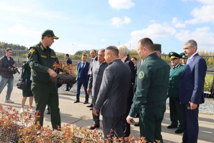 Бүген Россия вице-премьеры Виктория Абрамченко Саба  урман хуҗалыгында булды