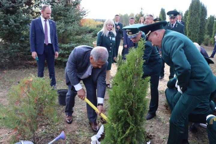 Бүген Россия вице-премьеры Виктория Абрамченко Саба  урман хуҗалыгында булды