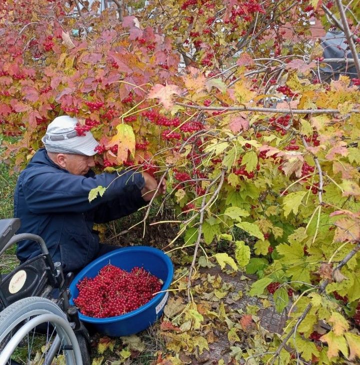 Альцгеймер чире:хәтер югала, кәеф үзгәрә